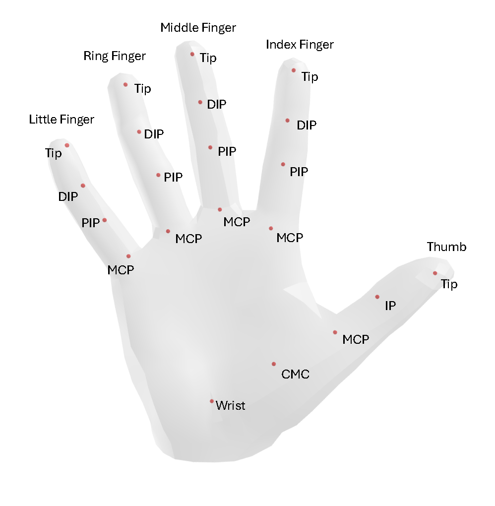 Hand joint map (MANO joints) used in HandVQA
